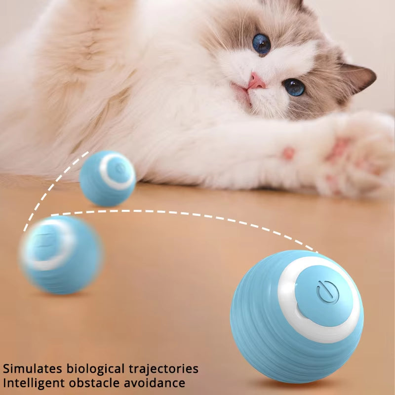Interactive Cat Ball USB Rechargeable Fast Rolling Random Motion Hunting Cat Toy Automatic Indoor Play
