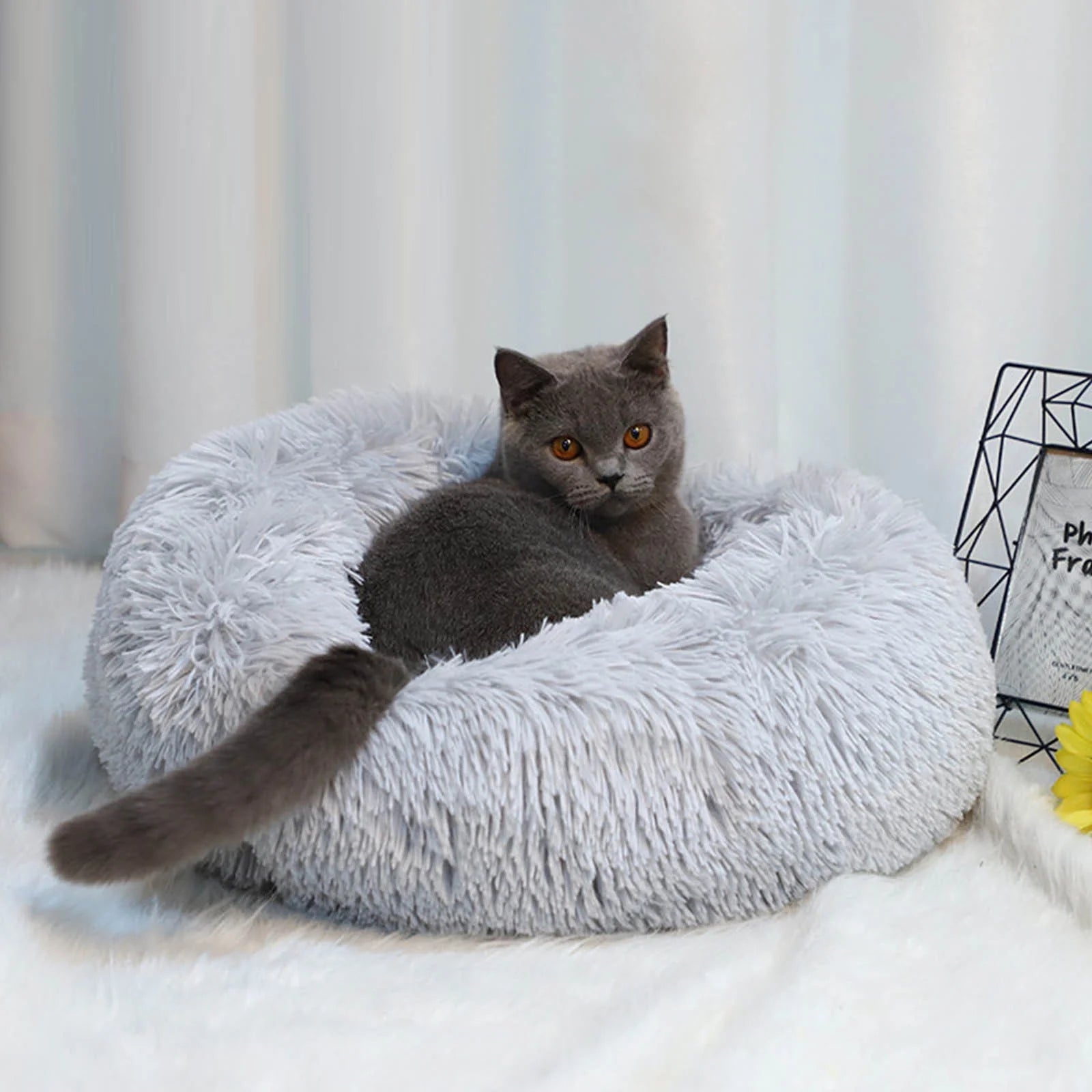 Cat Bed, Cat Beds for Indoor Cats Washable, Orthopedic Soft Fluffy round Calming Pet Bed for Small Cat, Small Cat Beds & Furniture