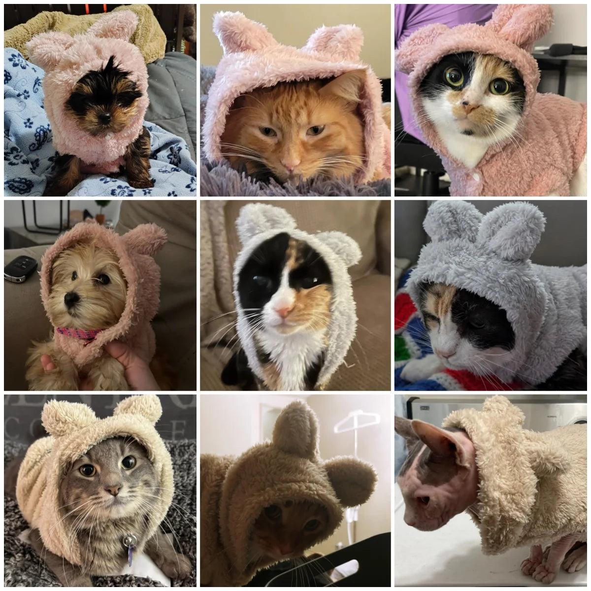Autumn Winter Cat Clothes Soft Warm Cute Kitten Sweater Pet Fleece Costume for Small Medium Dogs Cats Kitty Sphynx Hoodies Coat
